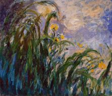 Haga click para ver la imagen ampliada 1824 - les iris jaunes.jpg